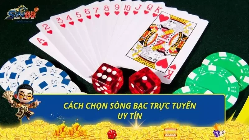 Hướng dẫn newbie chọn điểm đến phù hợp để đặt niềm tin