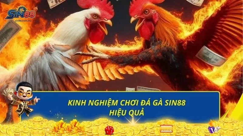 Bật mí một vài kinh nghiệm chơi từ cao thủ lâu năm trải nghiệm
