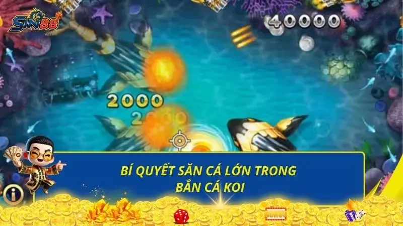 Bật mí top các bí quyết săn cá KOI dành riêng cho newbie