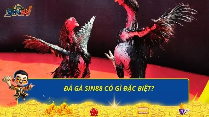 Khám phá các ưu điểm đầy hấp dẫn của trò đá gà trực tuyến