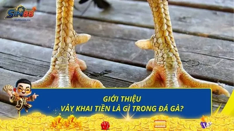 Sơ lược các thông tin về loại vảy đầy đặc biệt